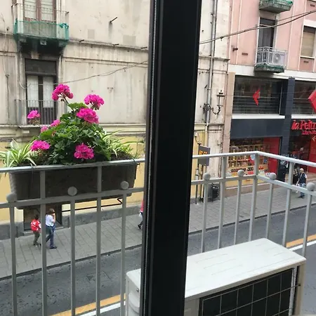 Papali Oda ve Kahvaltı 4*